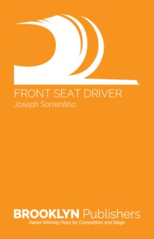 FRONT SEAT DRIVER